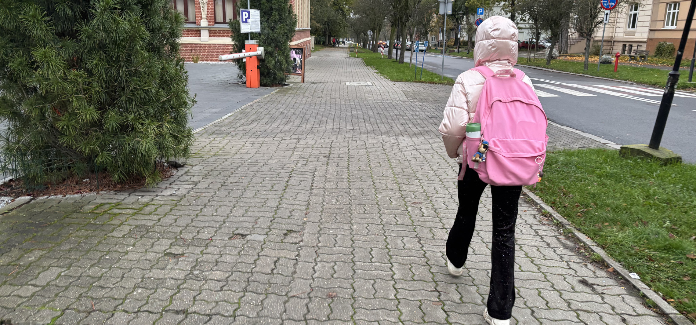 Petycja w obronie dzieci ze specjalnymi potrzebami trafiła do władz