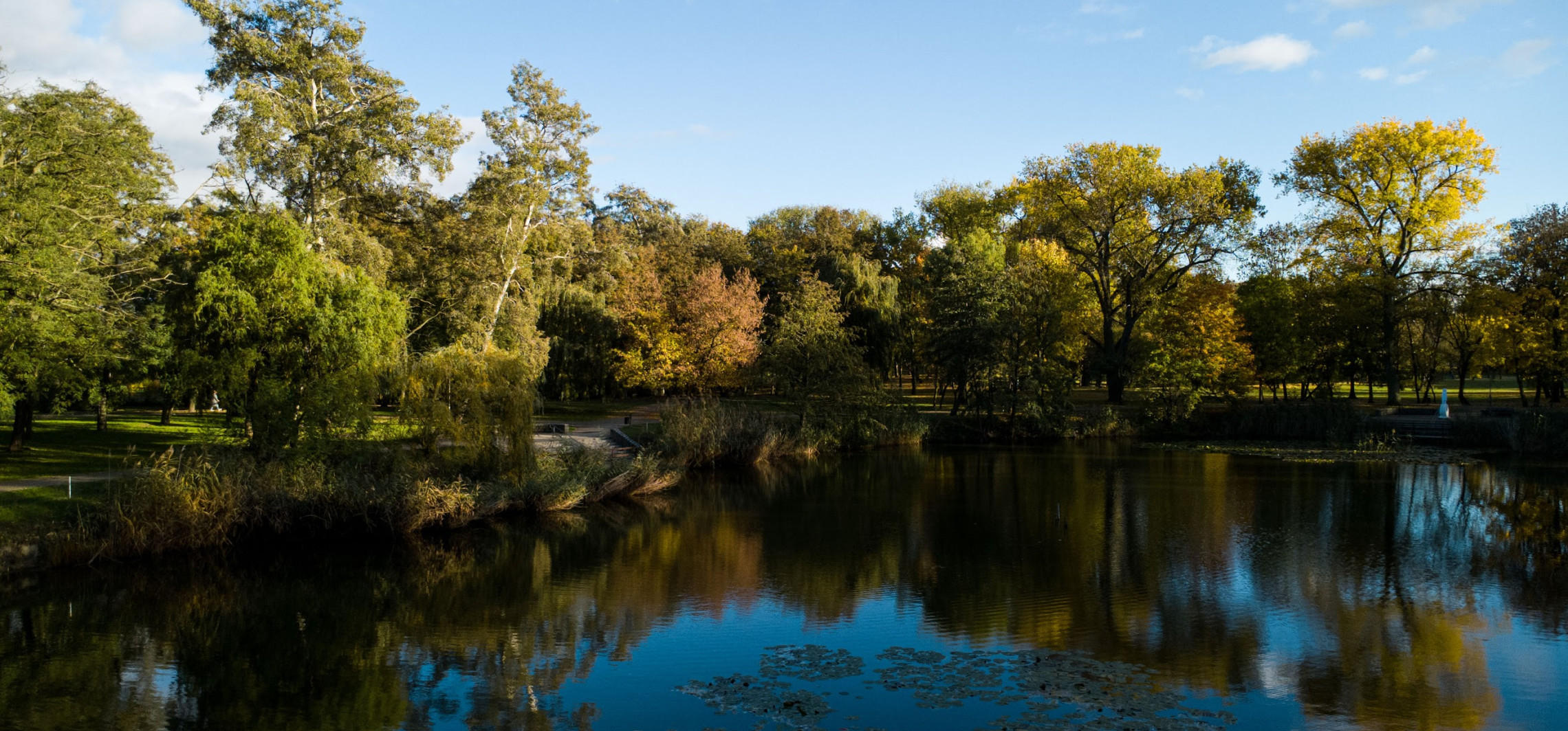 Dzień dobry Ino.online