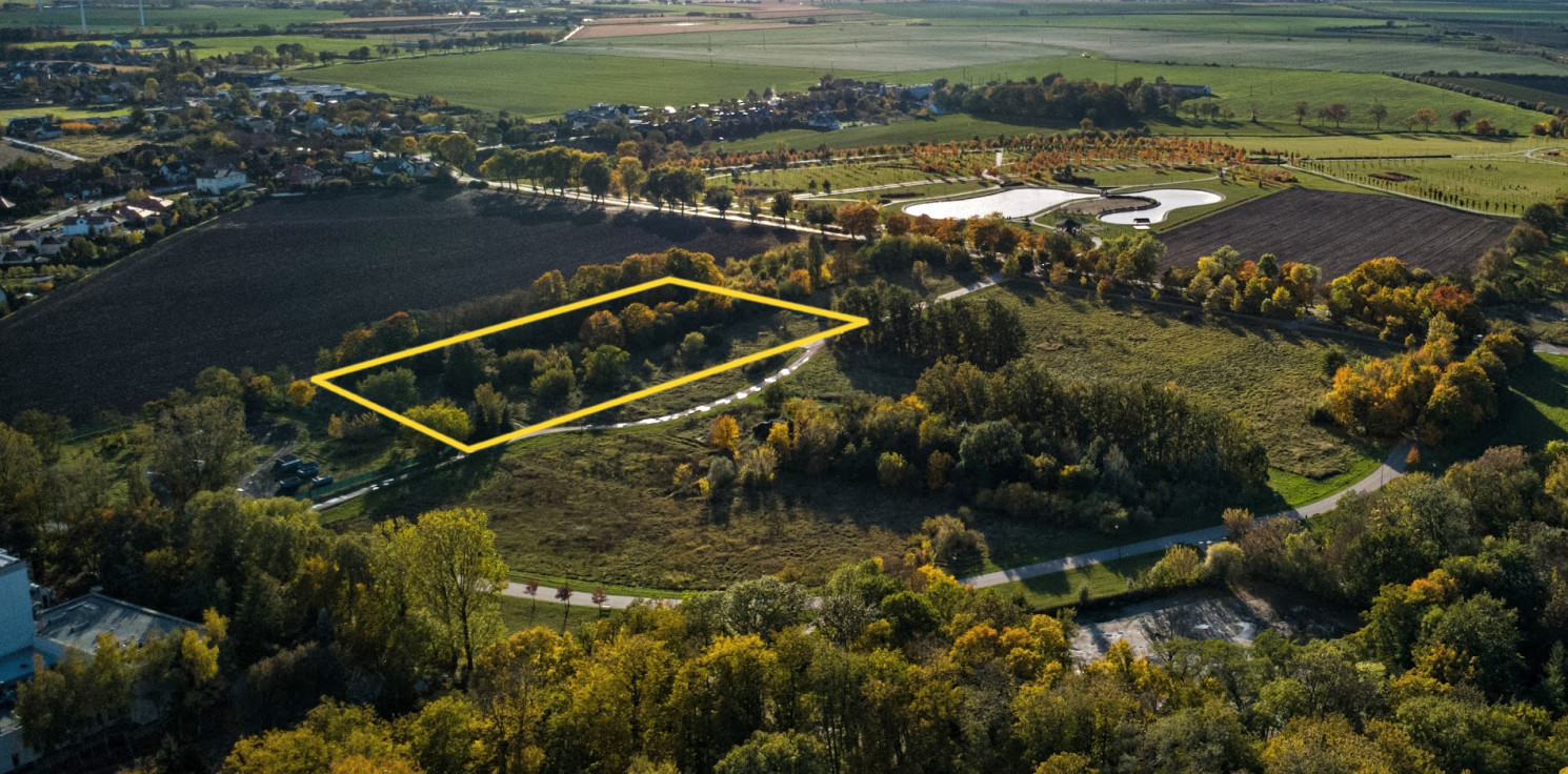 Inowrocław - Spora działka przy Solankach pójdzie pod młotek