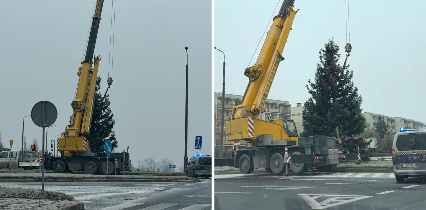 Inowrocław - Na Rąbinie stanęła choinka