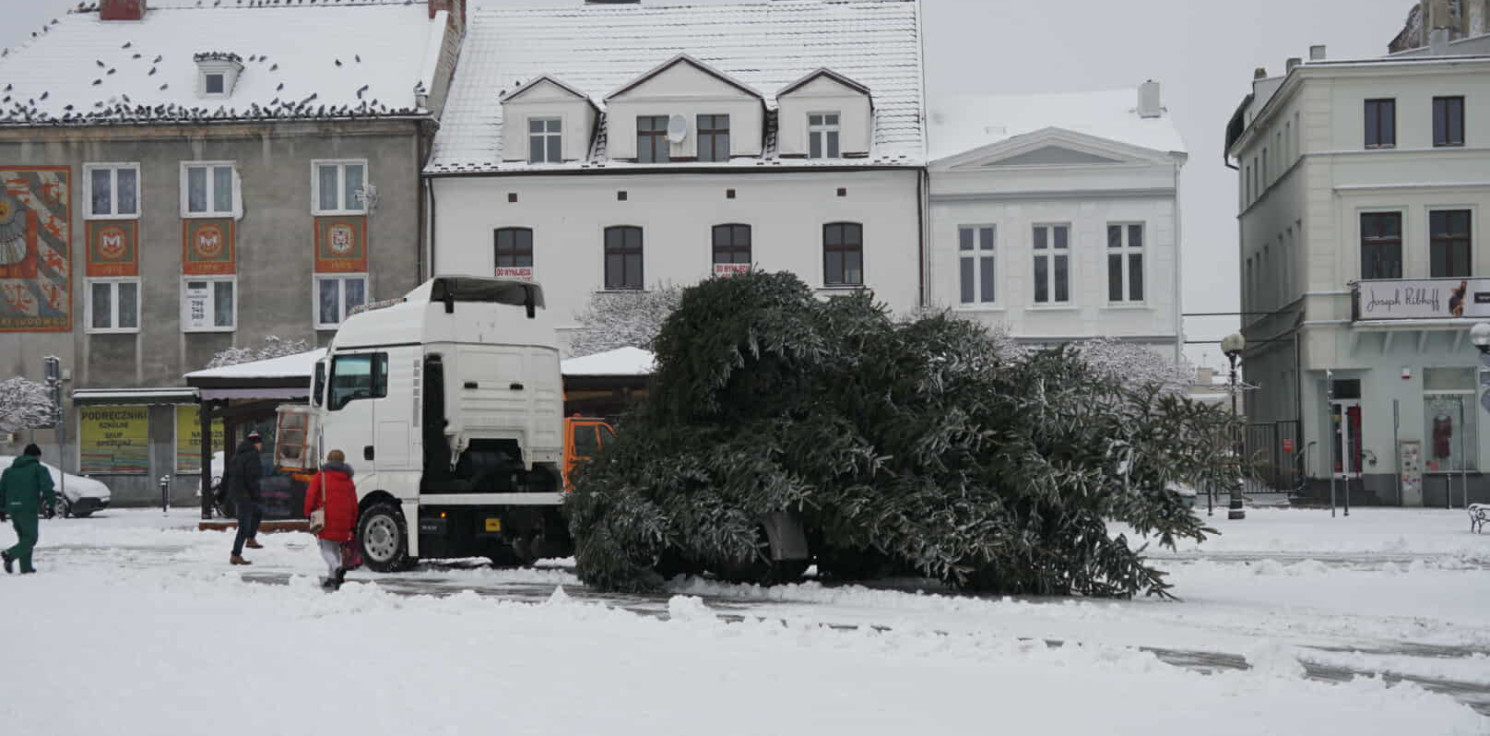 Inowrocław - Coraz bliżej święta. Na Rynku pojawiła się choinka
