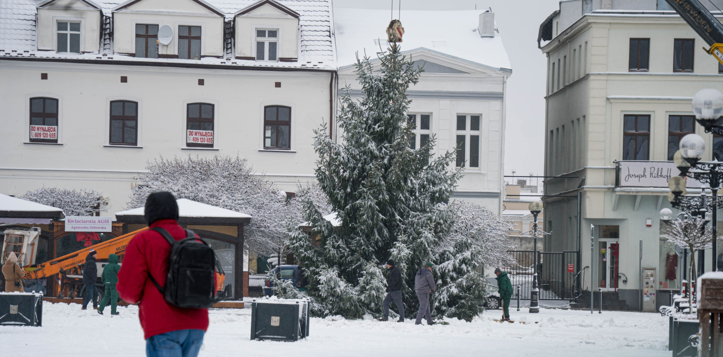 Inowrocław - Coraz bliżej święta. Na Rynku pojawiła się choinka