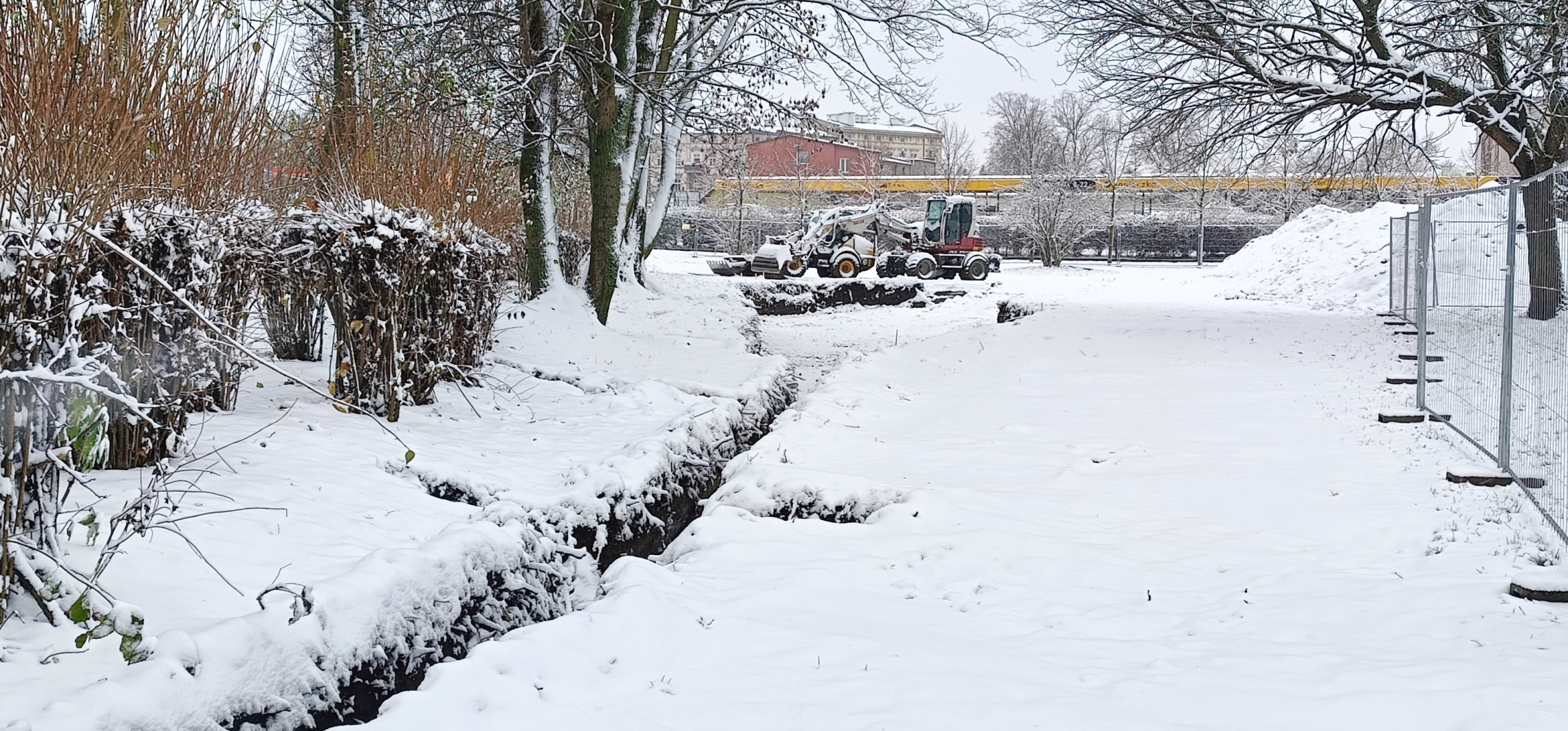 Tutaj powstaje ogród deszczowy