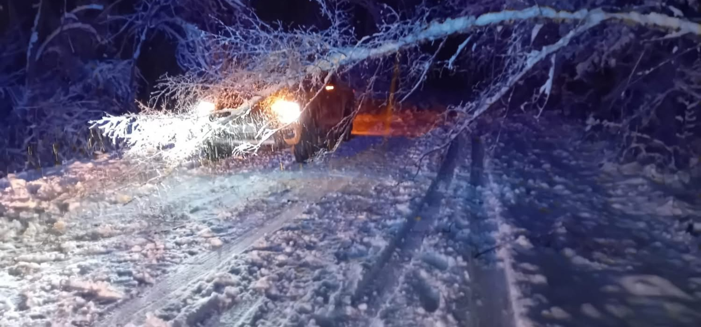 Strażacy mieli pełne ręce roboty, kilkadziesiąt interwencji