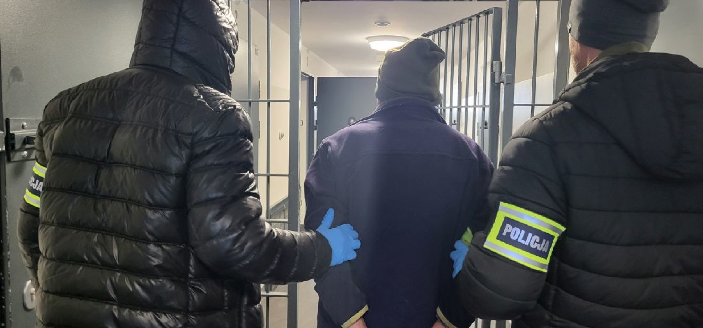 Ojciec i syn znęcali się nad psami. Szczątki leżały przed domem