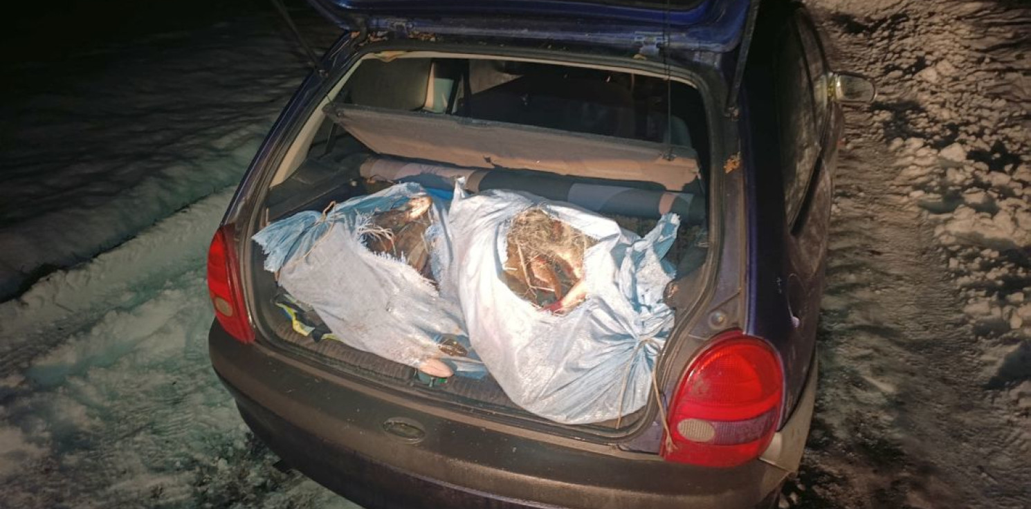 Kruszwica.online - Pościg za kłusownikami. W bagażniku 100 kg ryb