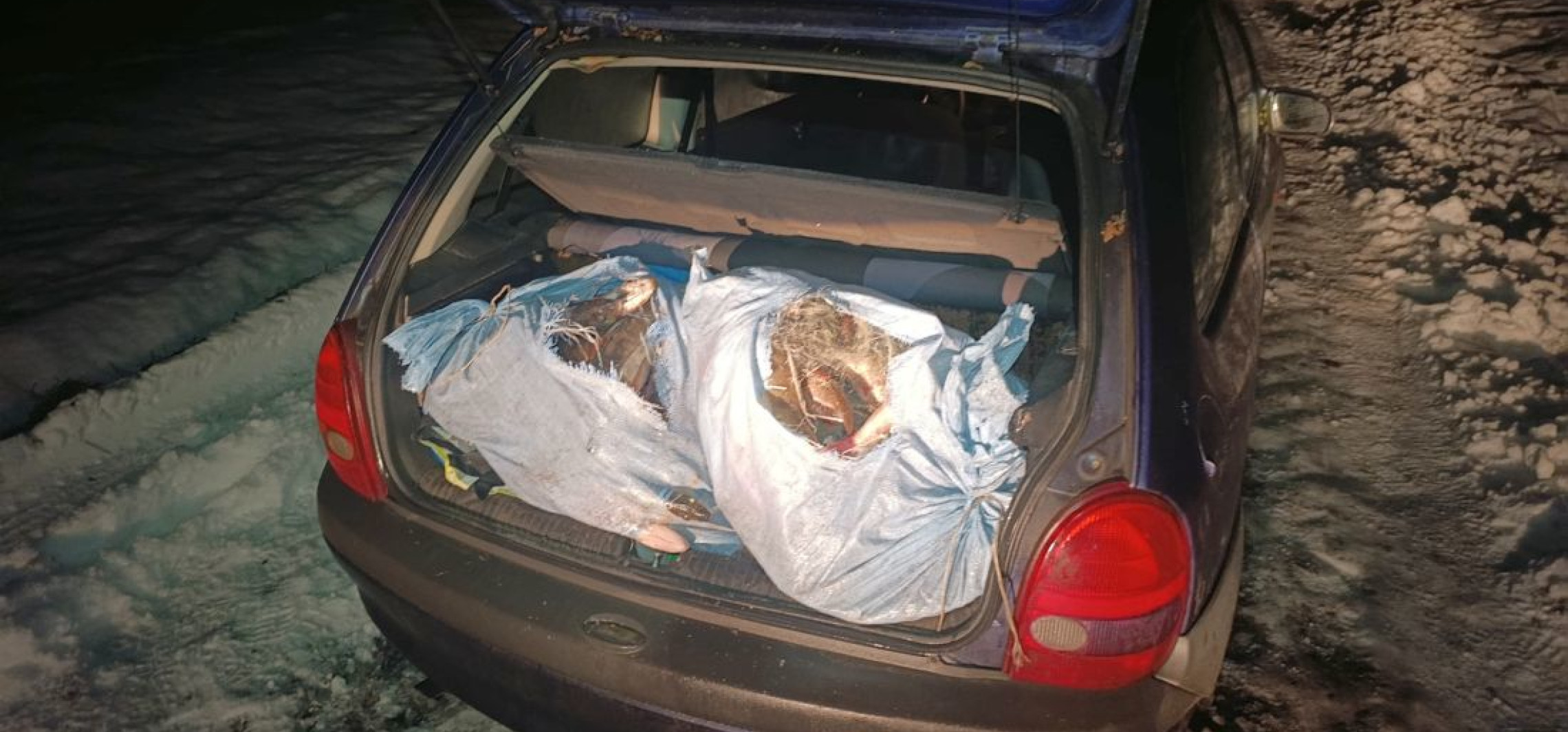 Pościg za kłusownikami. W bagażniku 100 kg ryb