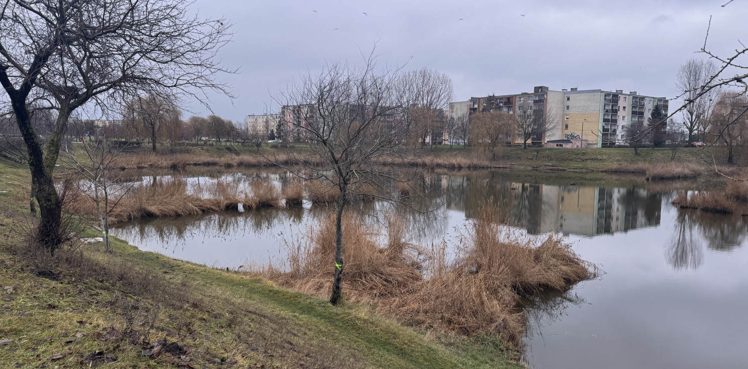 Inowrocław - Dzień dobry Ino.online