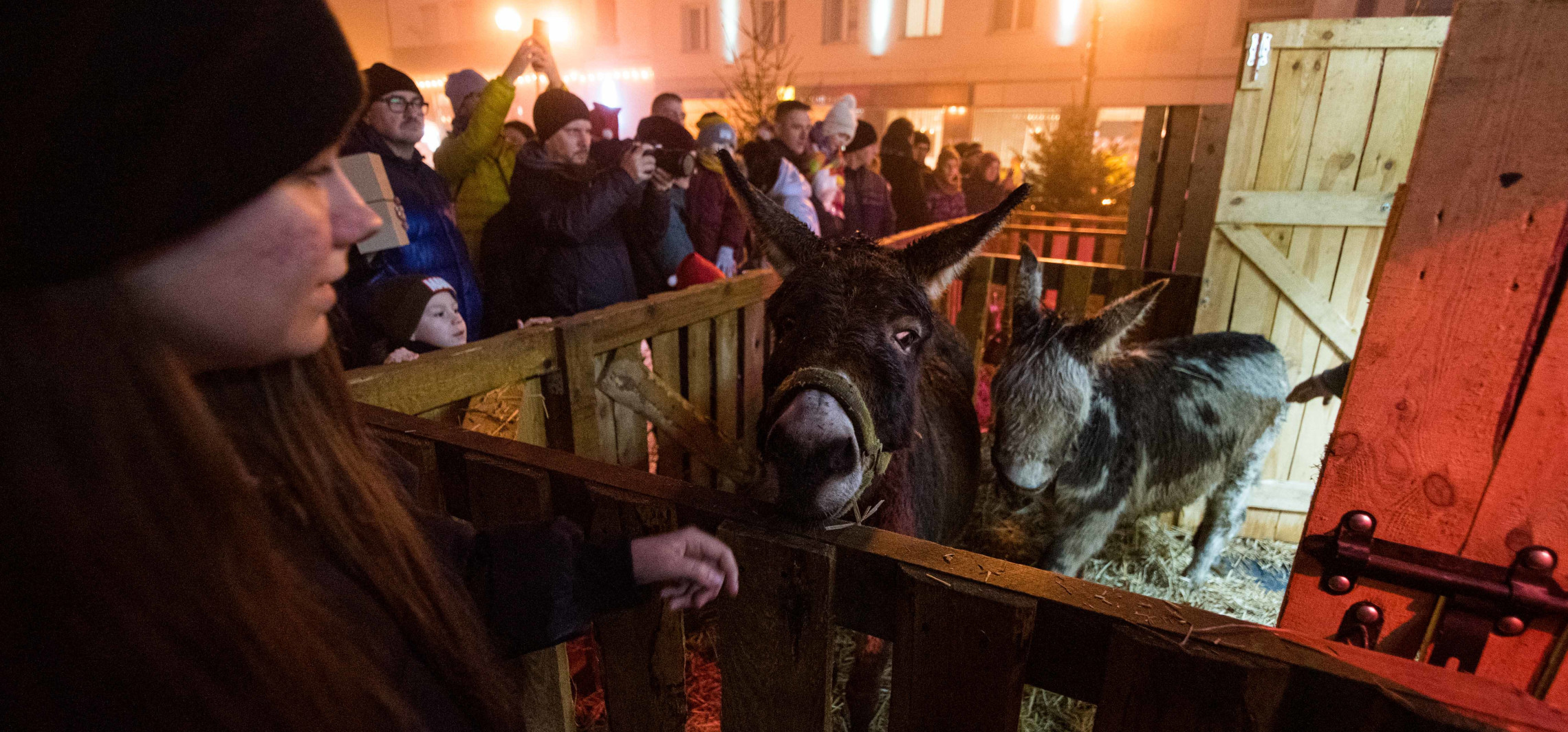 Na Rynku otworzą szopkę. Będą żywe zwierzęta