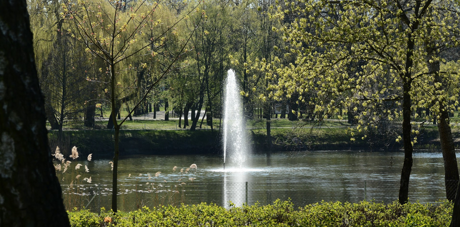 Inowrocław - Liczba dnia w Inowrocławiu: 259 200