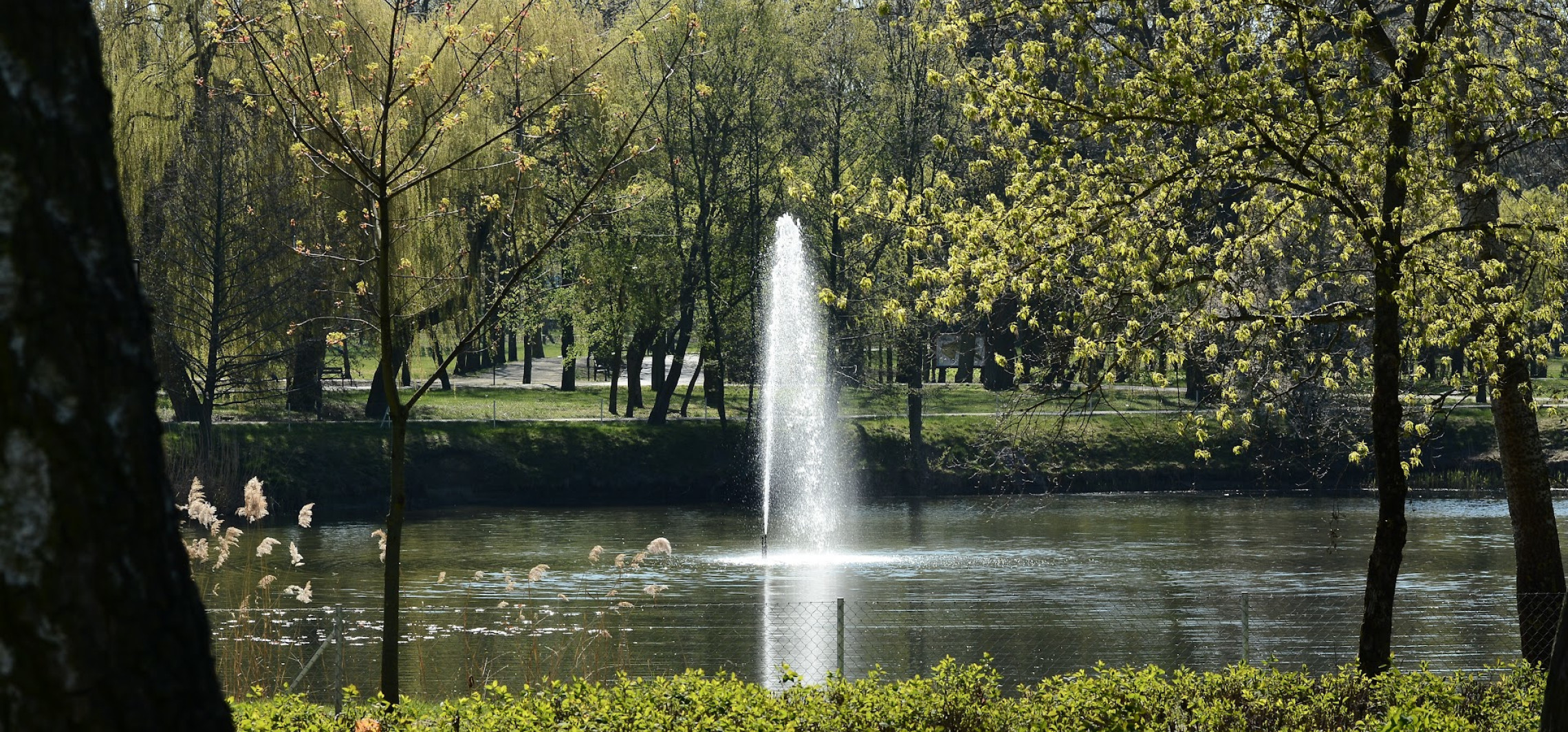 Liczba dnia w Inowrocławiu: 259 200