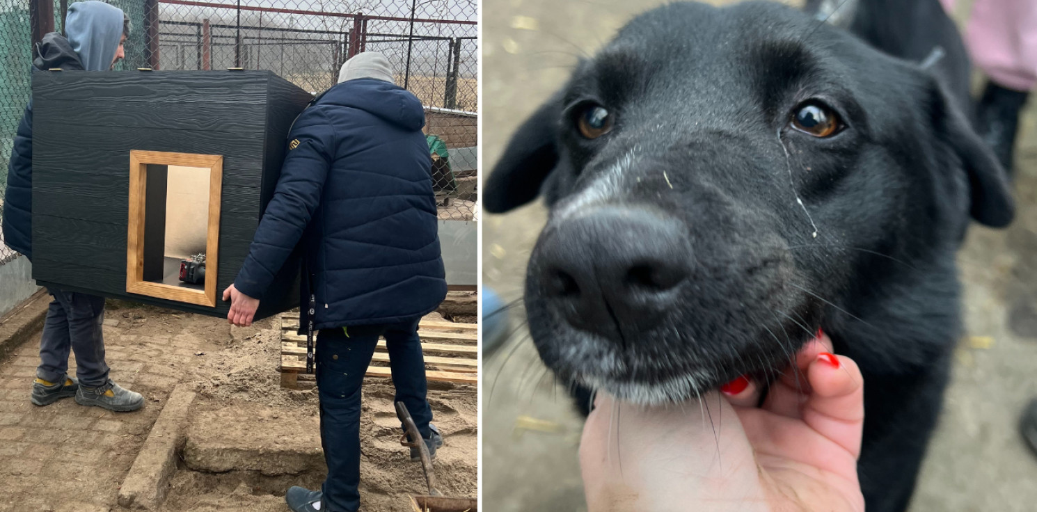 Inowrocław - Do schroniska powędrowały nowe budy