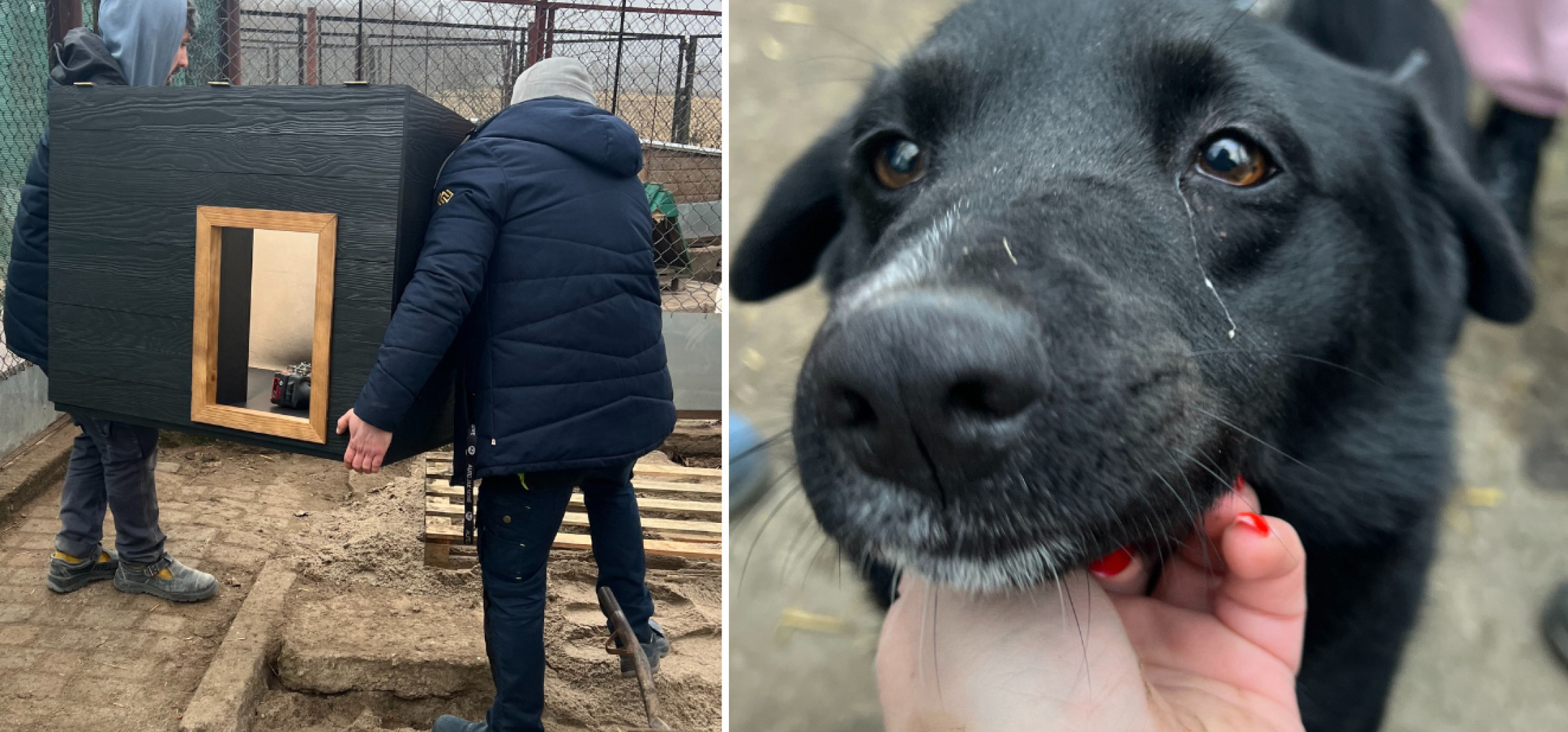 Do schroniska powędrowały nowe budy