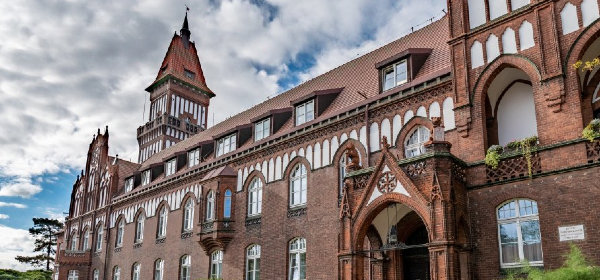 Odpowiedź ratusza na apel KO. "Kolejna próba rozpowszechniania kłamstw"