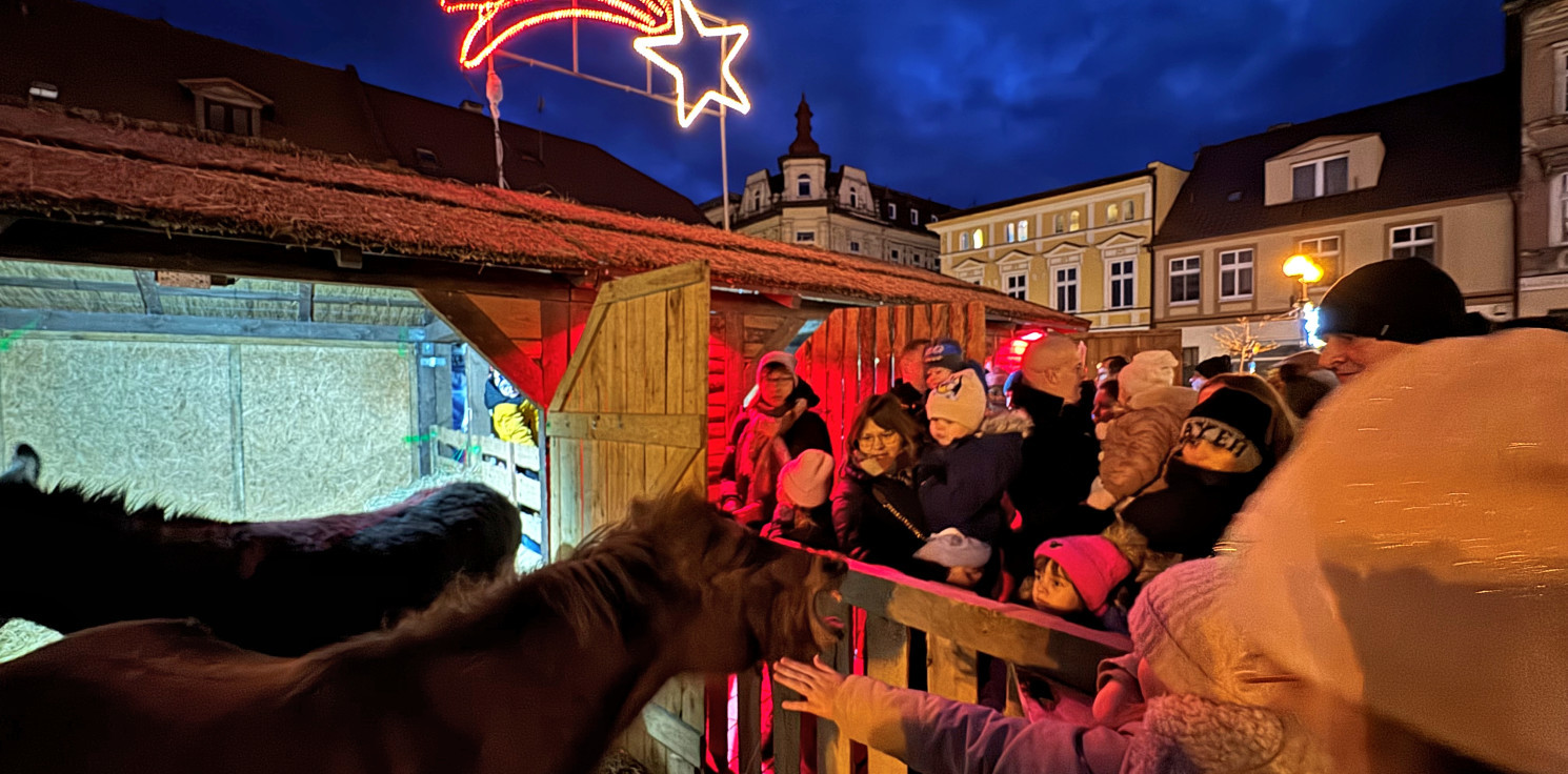 Inowrocław - Żywa szopka bożonarodzeniowa na inowrocławskim Rynku już otwarta