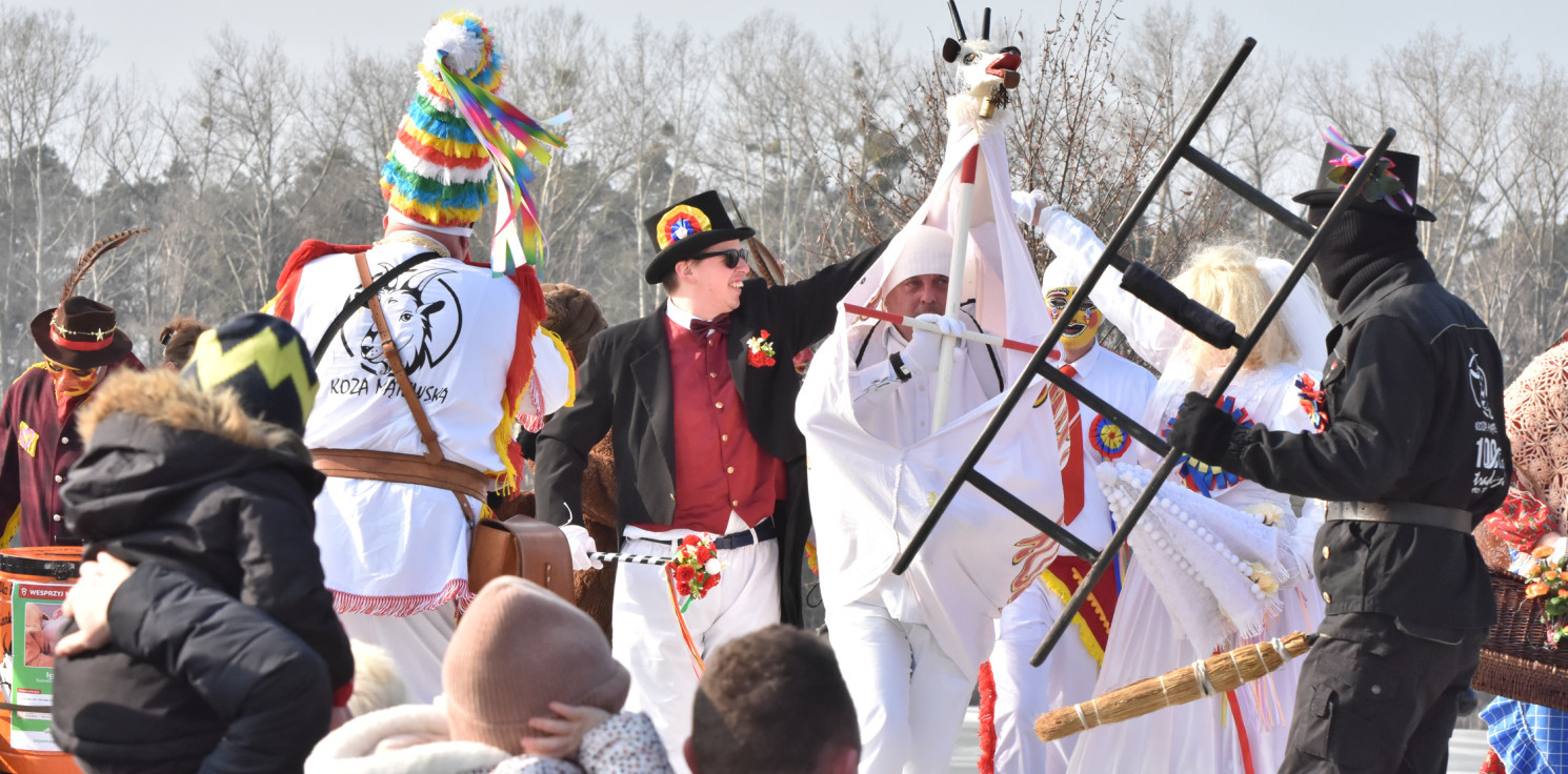 Gmina Inowrocław - Kujawskie Kozy spotkają się na wspólnej imprezie