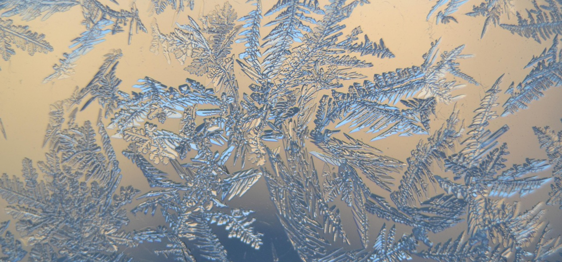 W Inowrocławiu uruchomiono dodatkowe ogrzewalnie