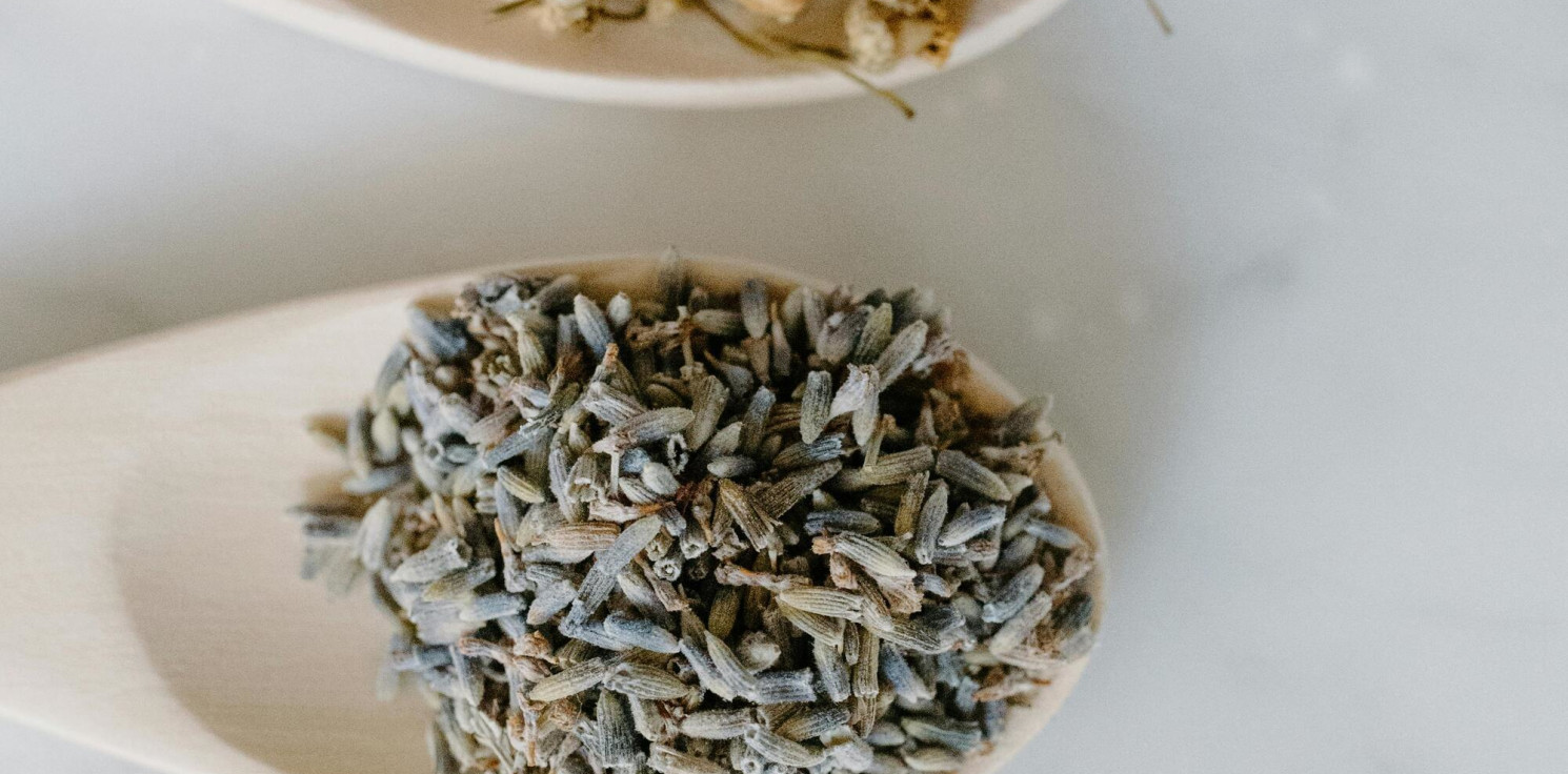 Region - Szczeć pospolita – zioło o tradycyjnym zastosowaniu w fitoterapii