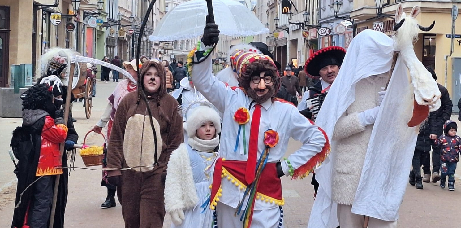 Region - Koza z Kujaw podbiła Toruń. To dopiero przygrywka przed wtorkiem