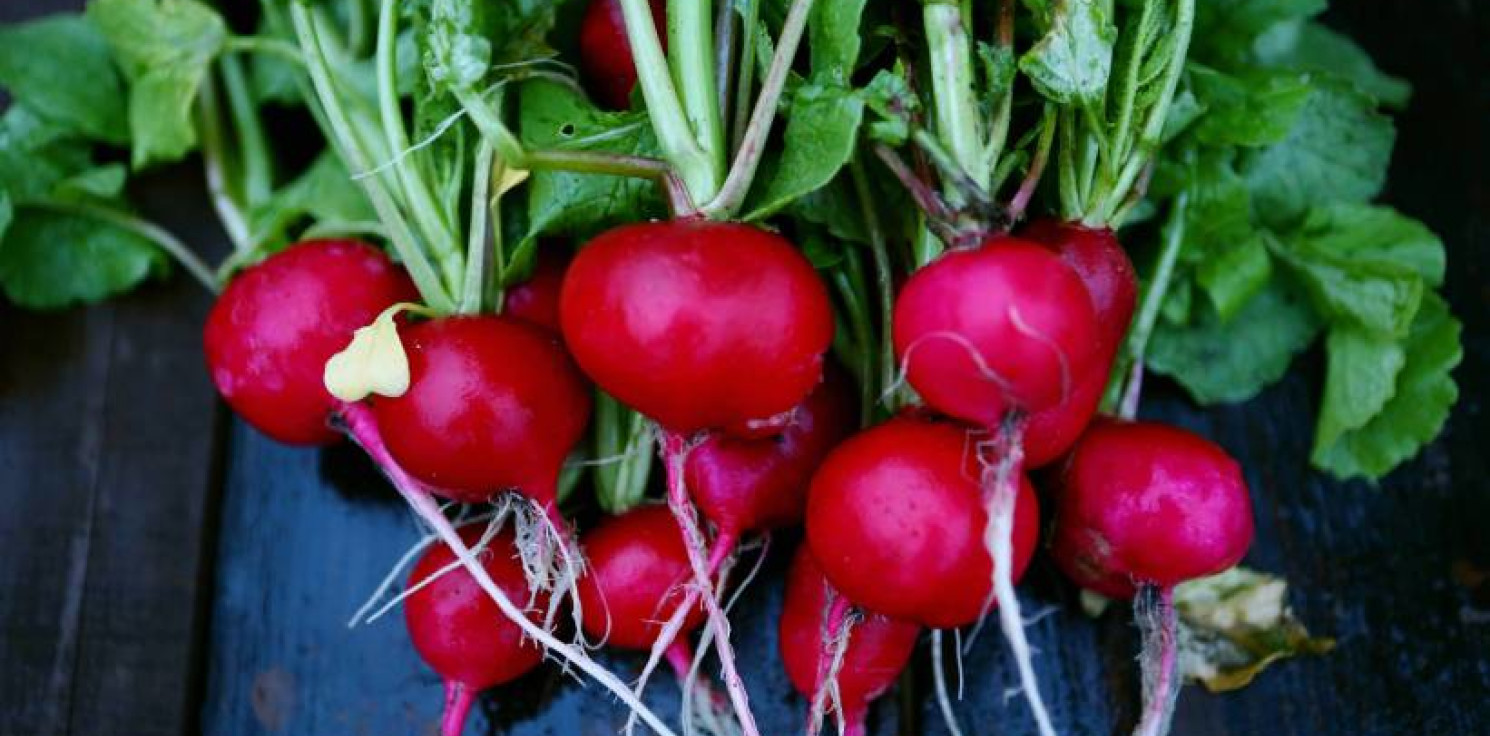 Kraj - Liście tego warzywa to superfood. Wiele osób wciąż je wyrzuca