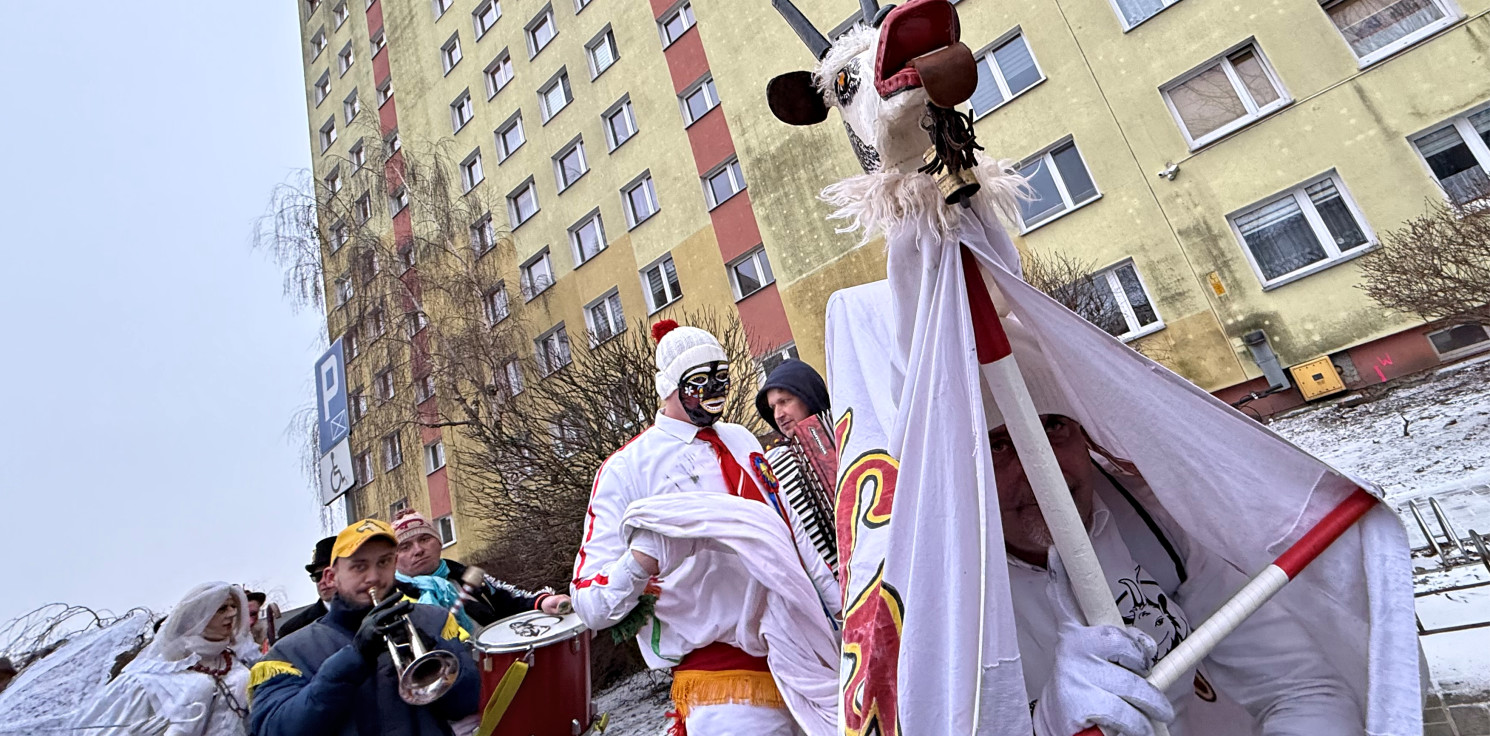 Inowrocław - Uśmiechy na twarzach dzieci i dorosłych. Koza odwiedziła Rąbin