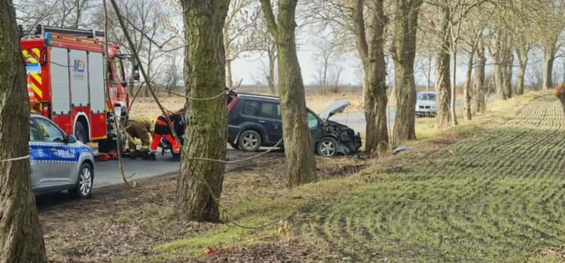 Koło Kruszwicy samochód osobowy uderzył w drzewo