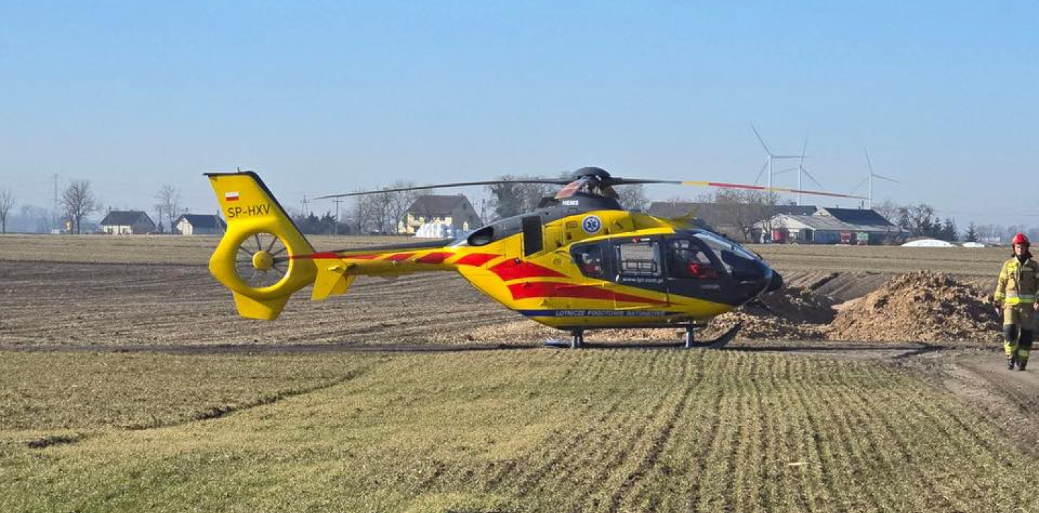Region - Krowa poturbowała kobietę. W akcji śmigłowiec LPR