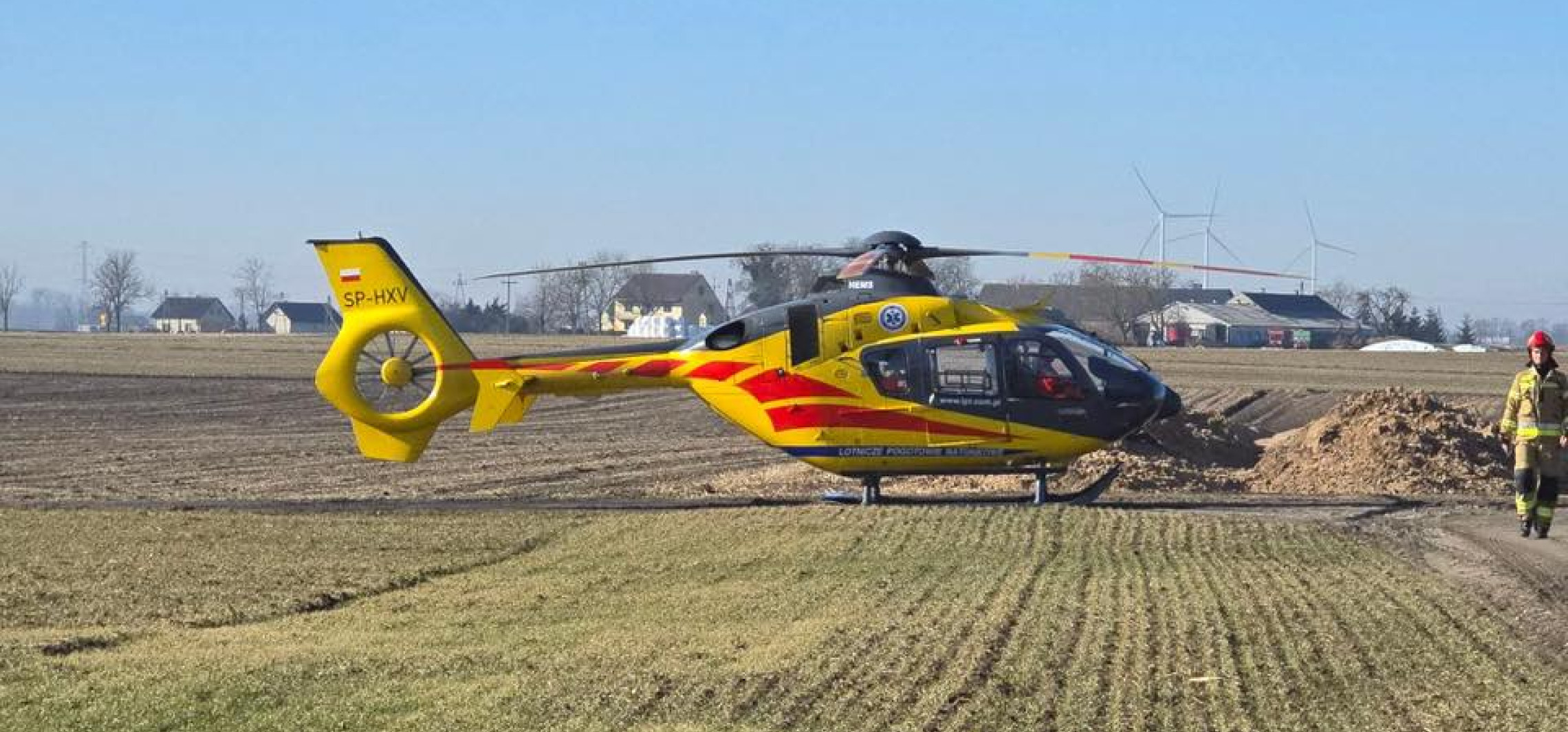 Krowa poturbowała kobietę. W akcji śmigłowiec LPR