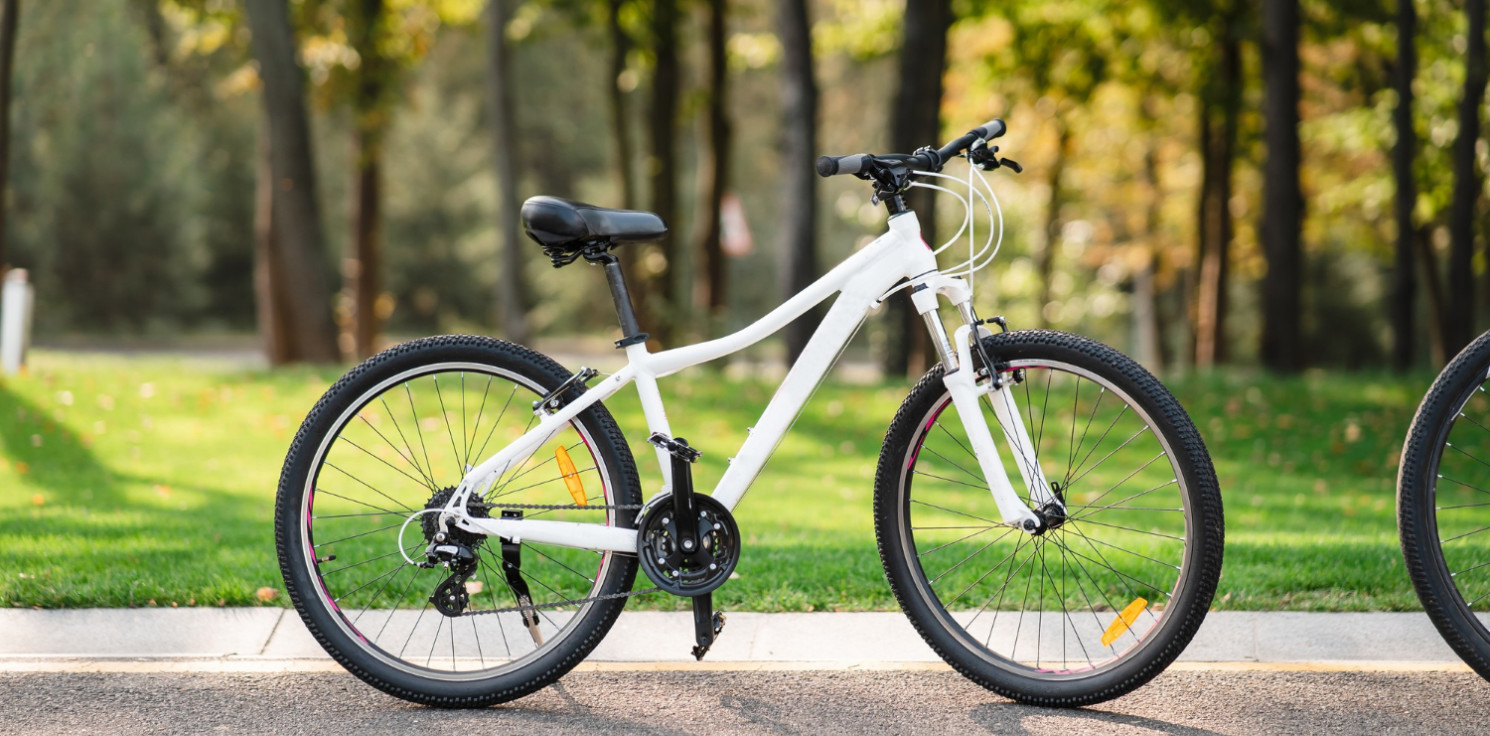 Region - Rower vs. komunikacja miejska – co wybrać?