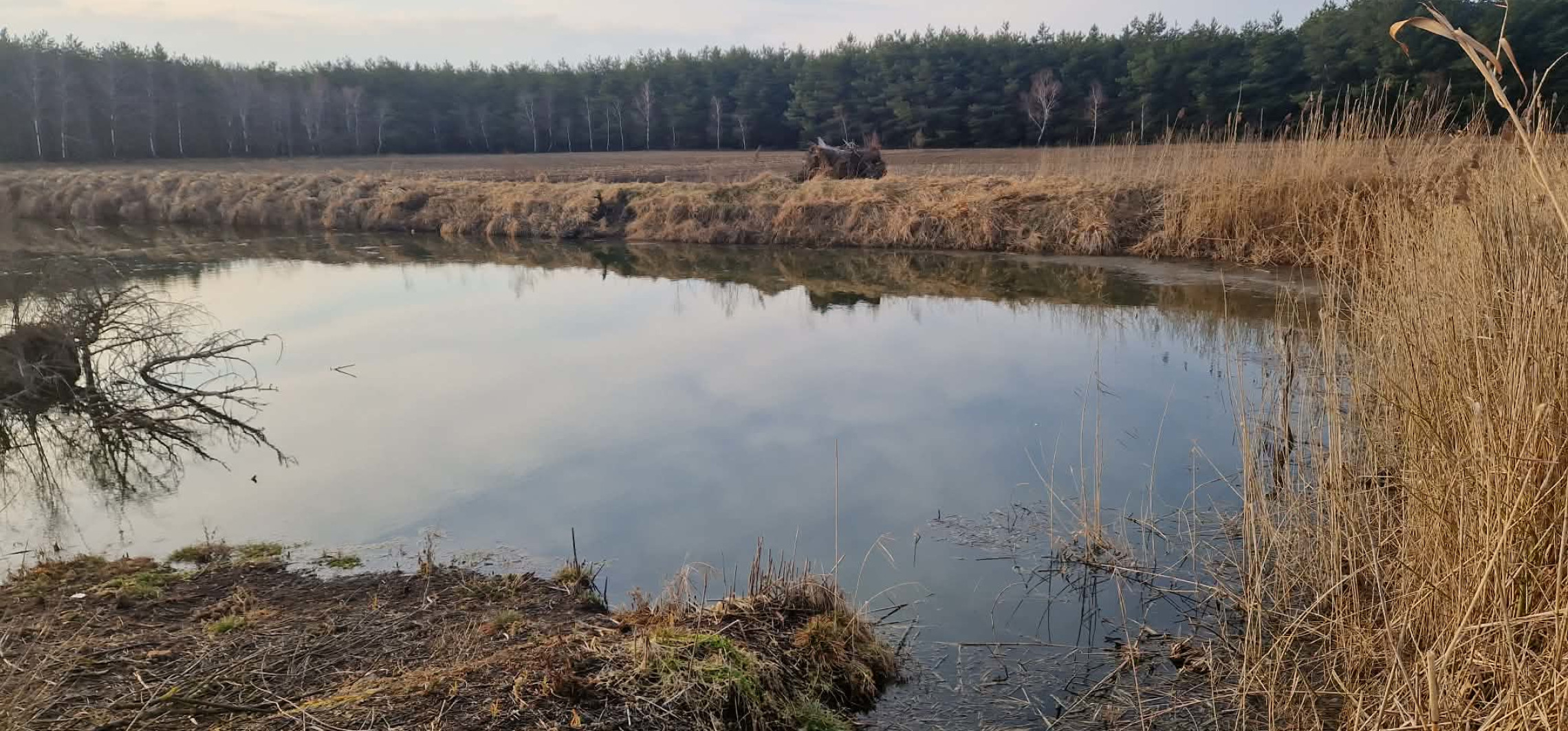 Spór o wodę na Kujawach. Kto otwiera zapory na Kanale Bachorze? 