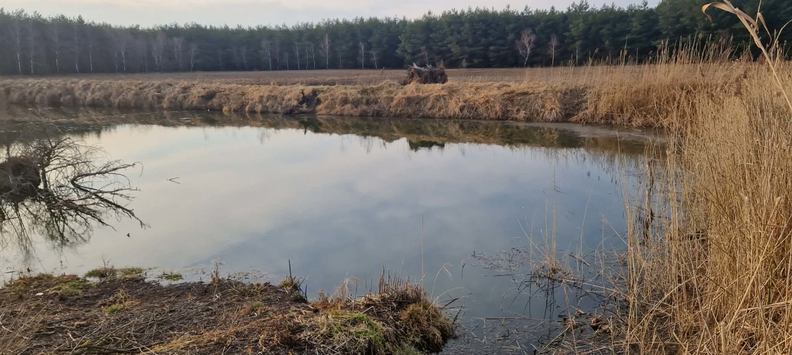 Spór o wodę na Kujawach. Kto otwiera zapory na Kanale Bachorze? 