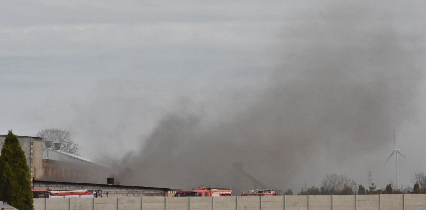 Kruszwica.online - Duży pożar w chlewni pod Kruszwicą. Trwa akcja ratowania zwierząt