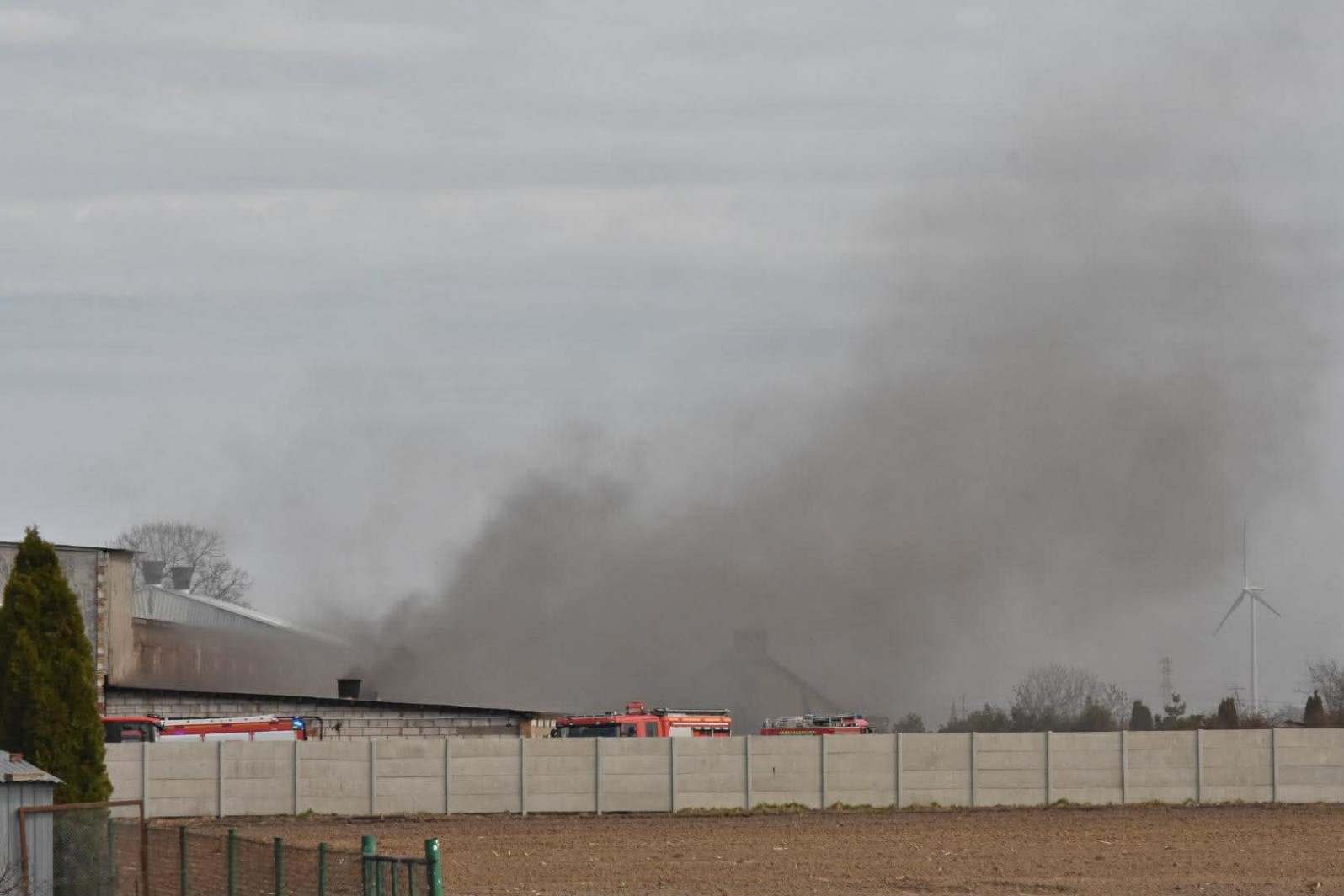 Duży pożar w chlewni pod Kruszwicą. Trwa akcja ratowania zwierząt