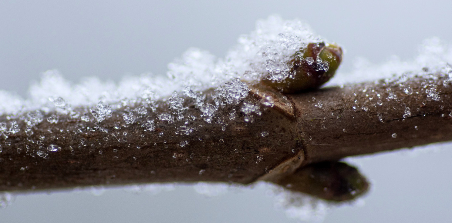 Inowrocław - W nocy zrobi się mroźno. Nawet -7 stopni przy gruncie!