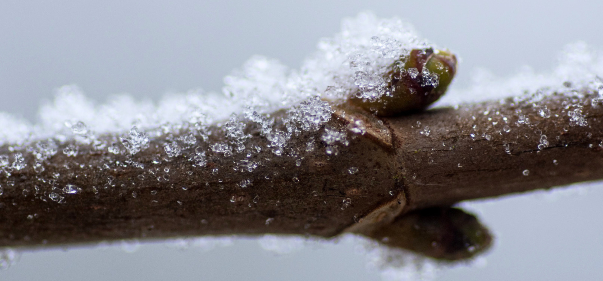 W nocy zrobi się mroźno. choćby -7 stopni przy gruncie!