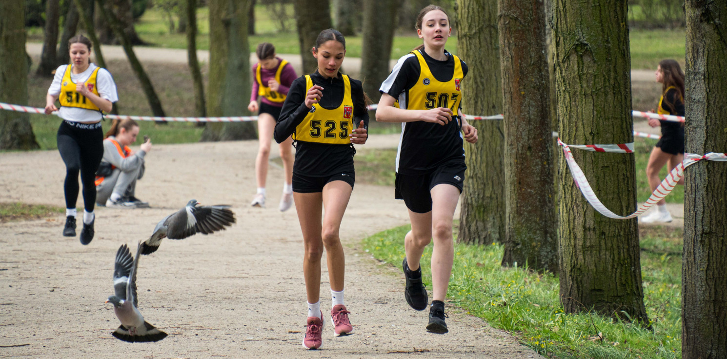 Inowrocław - Drużynówki na przełaj. Oto szkolni mistrzowie