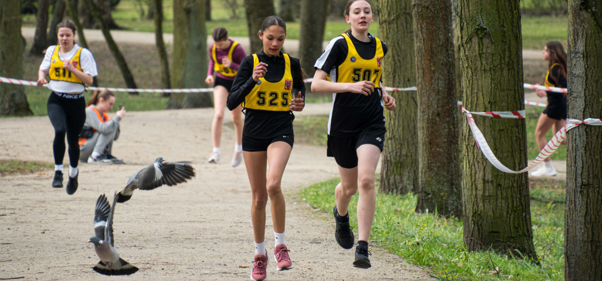 Drużynówki na przełaj. Oto szkolni mistrzowie