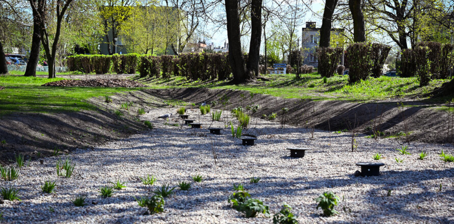 Inowrocław - Ogród deszczowy już gotowy. Tak teraz wygląda