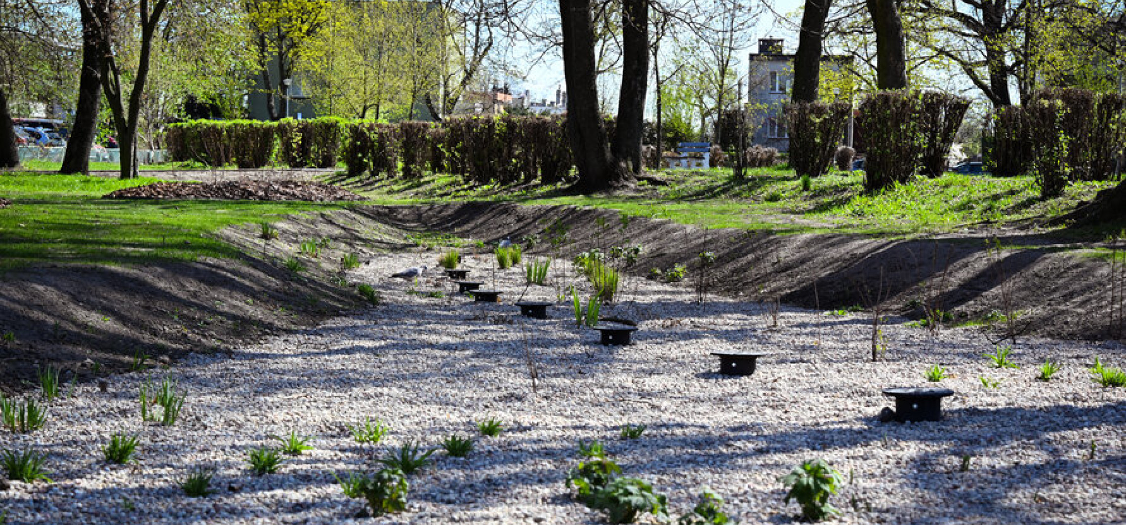 Ogród deszczowy już gotowy. Tak teraz wygląda