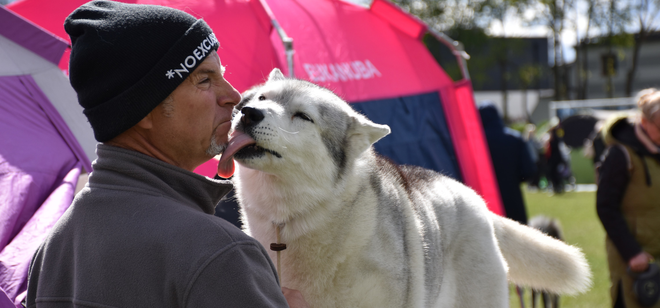 Najpiękniejsze psy w jednym miejscu. Trwa wystawa