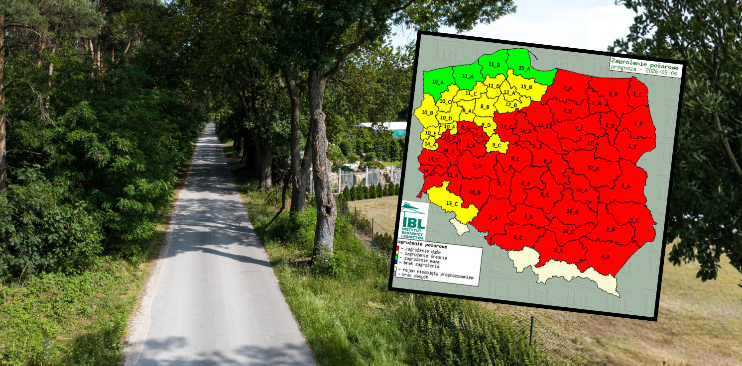 Region - Ekstremalna sytuacja w lasach. To efekt suszy