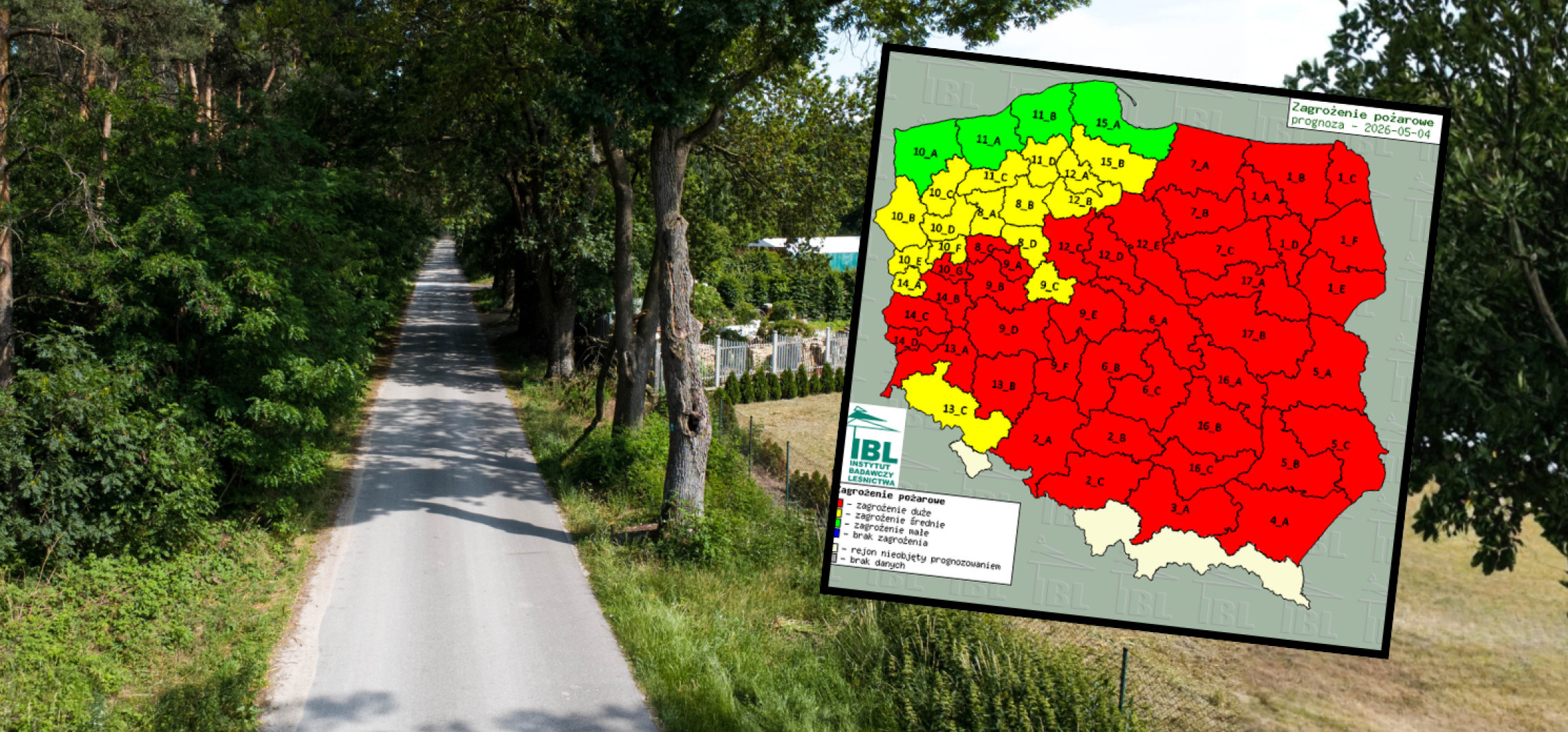 Ekstremalna sytuacja w lasach. To efekt suszy
