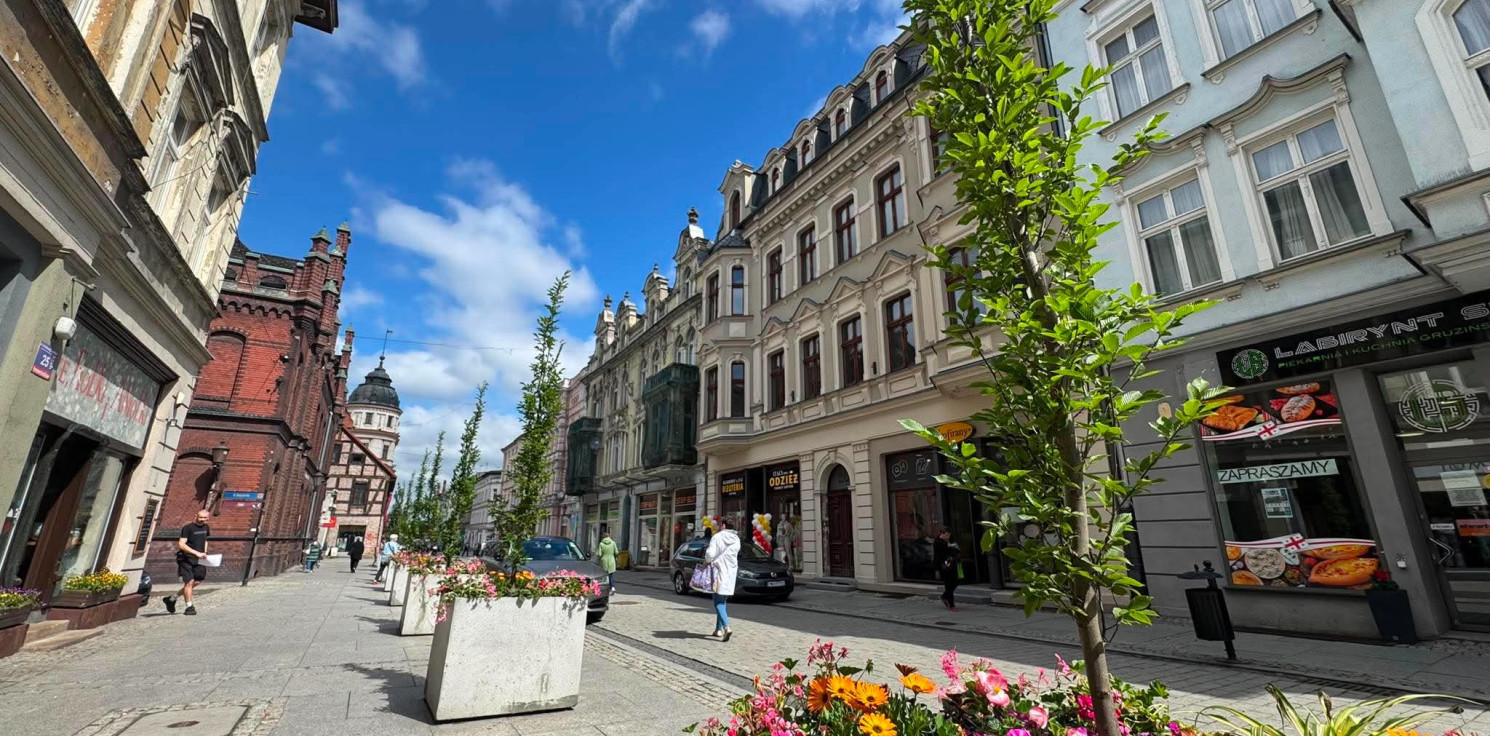 Inowrocław - 14 drzew do wymiany. Koszt to blisko 12 tys. zł