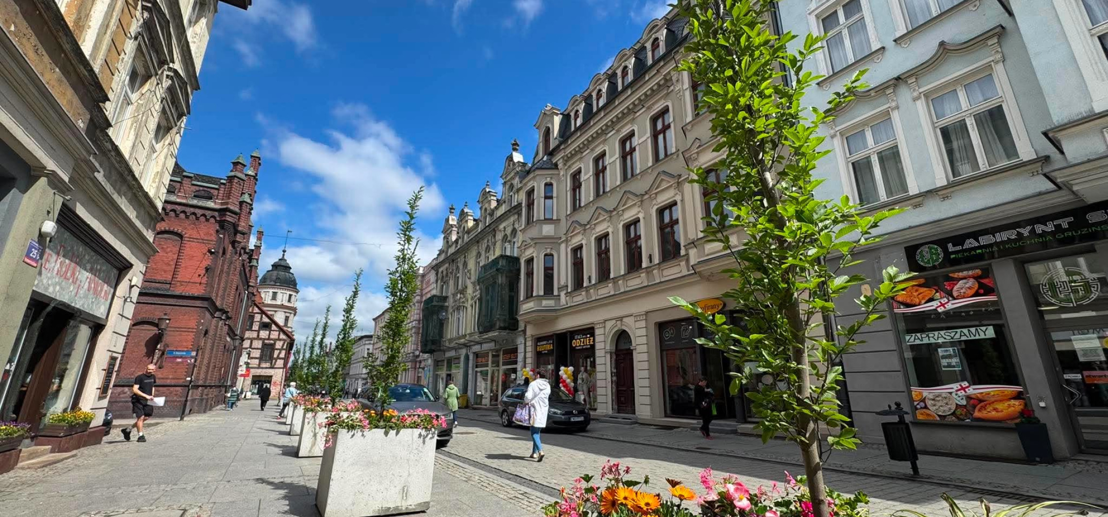 14 drzew do wymiany. Koszt to blisko 12 tys. zł