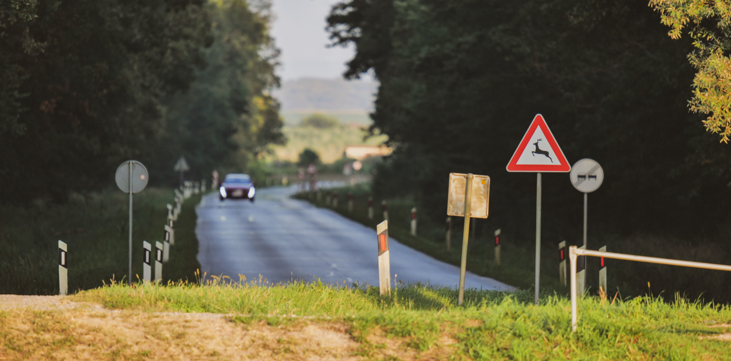 Region - Oszczędna podróż z lotniska w Katowicach: Parking, dojazd i loty