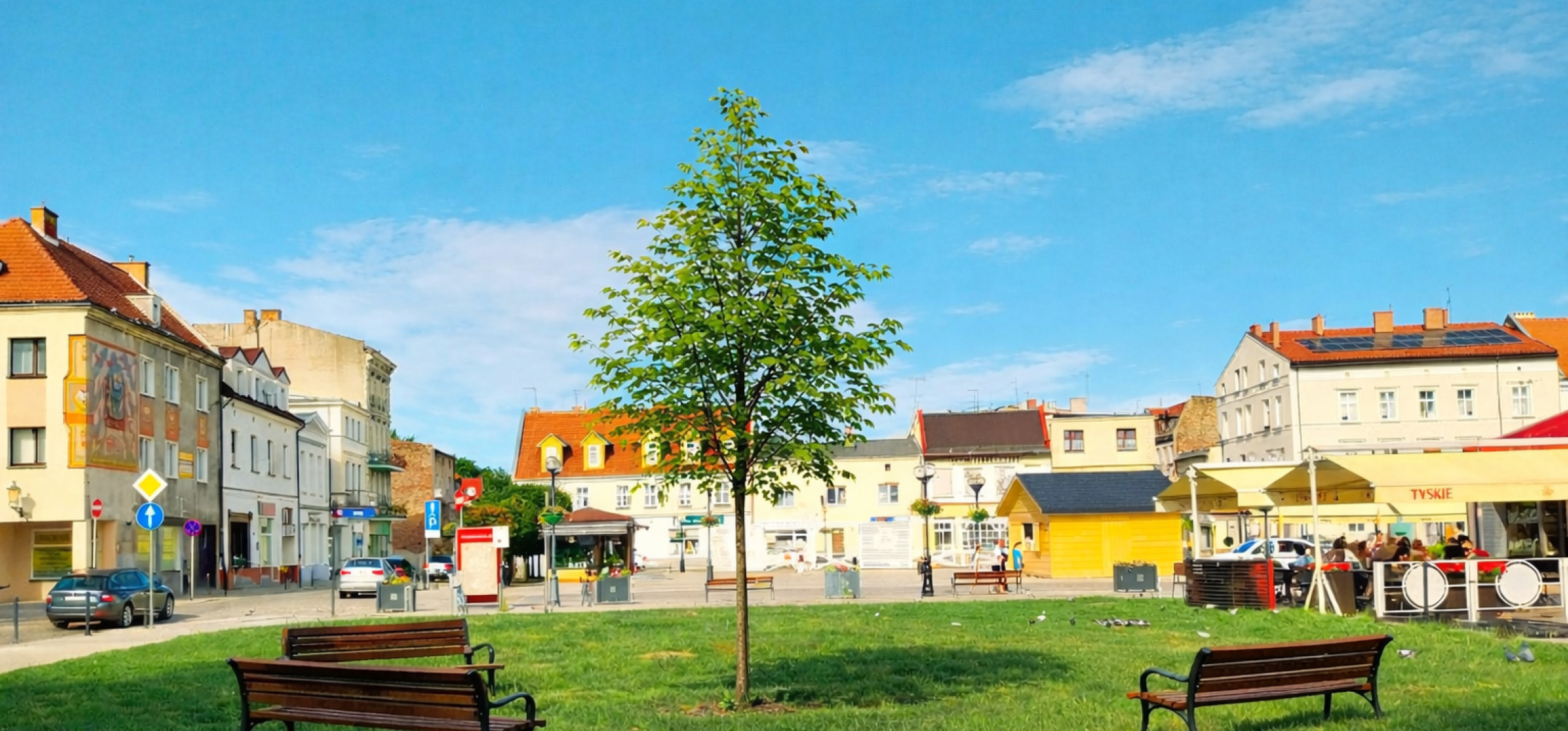 Radni skazali niewinną Inowrocławiankę. Drzewo obok Rynku miałoby o tym przypominać
