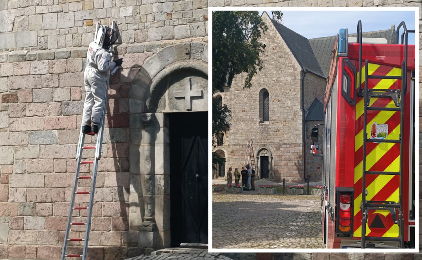 Niechciani lokatorzy w kolegiacie. Interweniowali strażacy