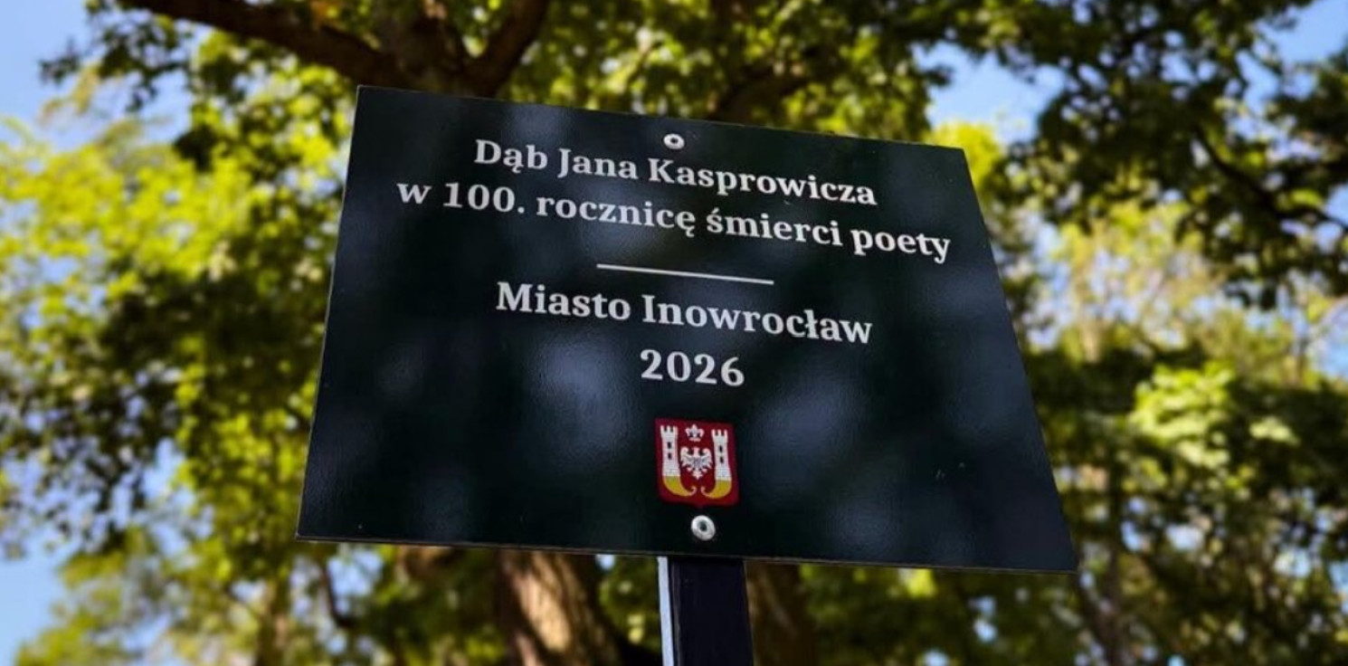 Inowrocław - Wyjątkowe drzewo z nowym oznaczeniem