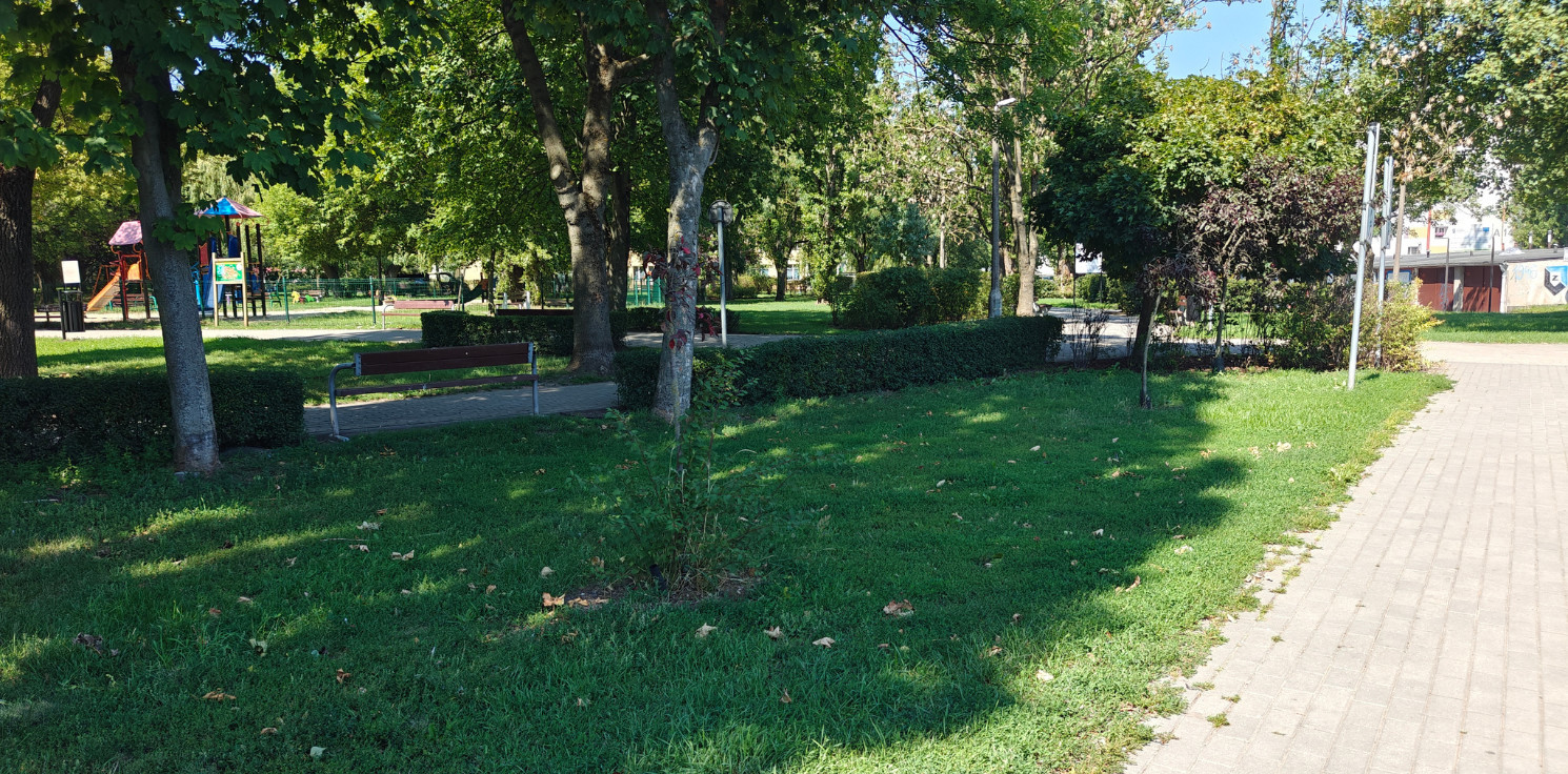 Inowrocław - Tutaj na Piastowskim powstanie kynopark
