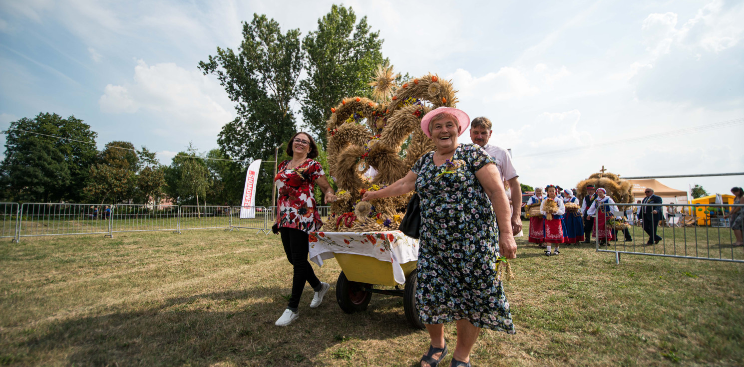 Rojewo - Dożynki powiatowo-gminne w Rojewie. Znamy program